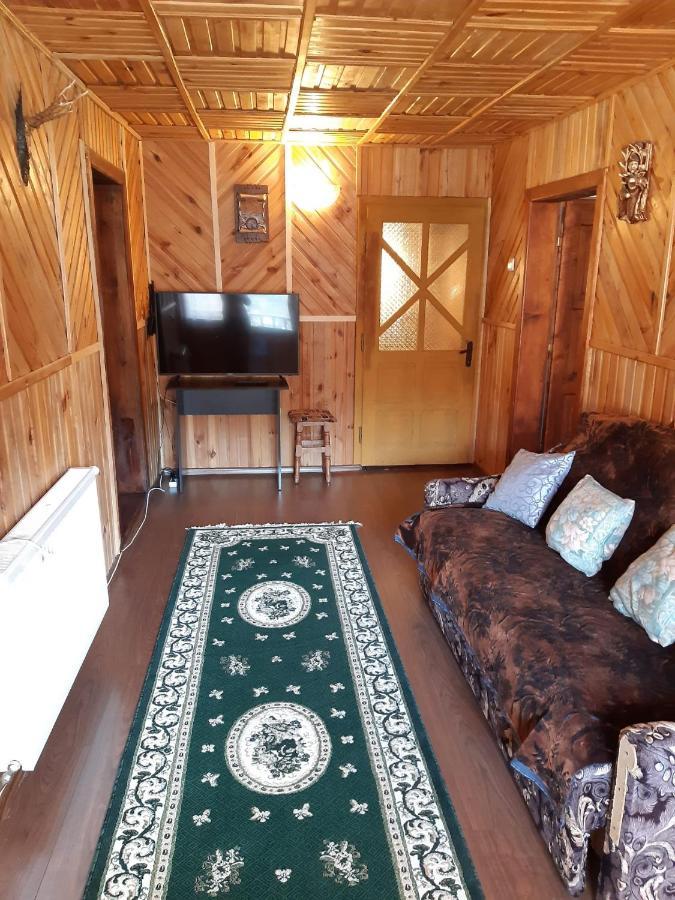 Casa Dorina Villa Bran  Luaran gambar