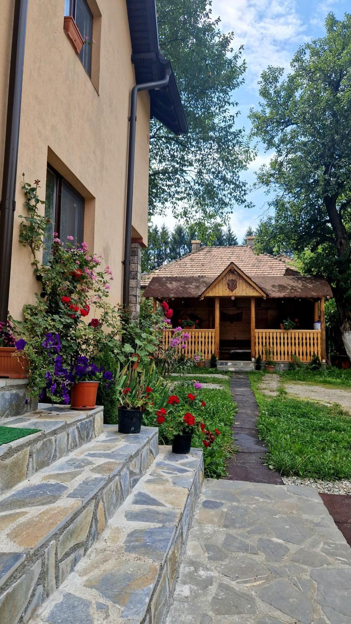 Casa Dorina Villa Bran  Luaran gambar