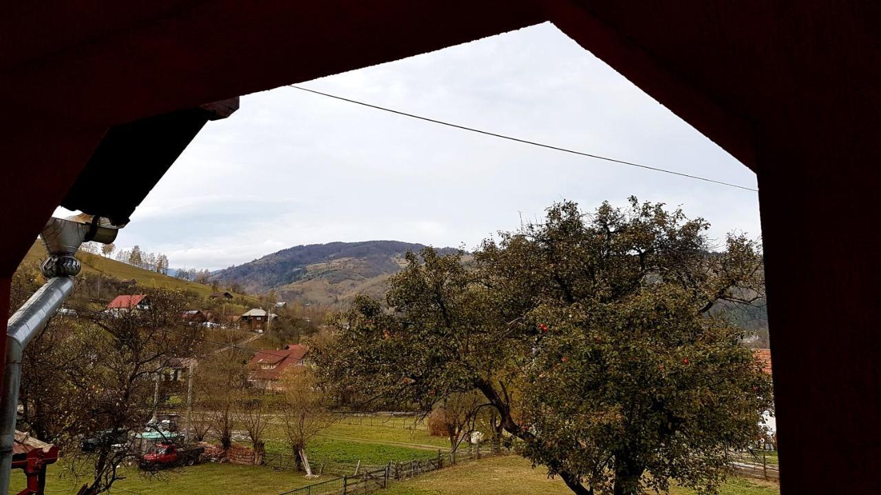 Casa Dorina Villa Bran  Luaran gambar